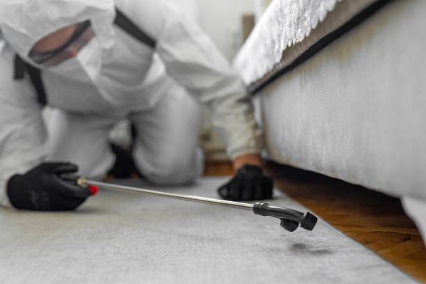 Professional Cockroach Control technician working in Milton, FL