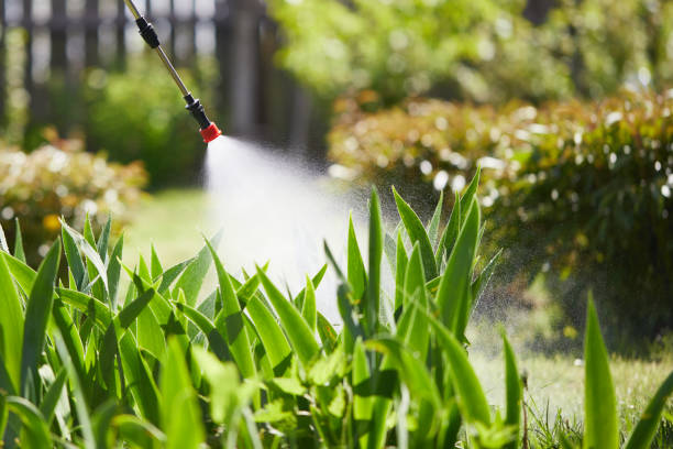 24/7 Emergency Cockroach Control experts in Milton, FL